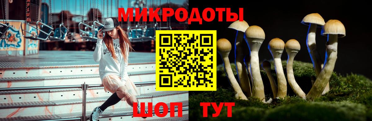где найти наркотики  Вход с VPN  Волжский  Галлюциногенные грибы прущие грибы 